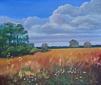 clouds_over_the_meadow